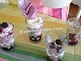 Verrine mature piccole svizzere - (cucchiai) Verrine mature piccole svizzere: verrine