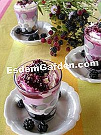 Verrine mature piccole svizzere - (piccole) Verrine alle more, da assaggiare!