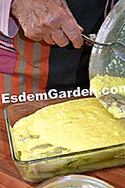 Gratin dengan saderi - (gratin) Hiaskan hidangan gratin
