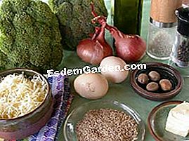 Broccoli gratin - (gratin) Bahan-bahan broccoli gratin