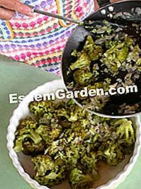 Broccoli gratin - (minit) Bahan-bahan broccoli gratin