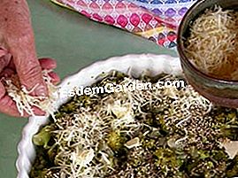 Brokolių gratinas - minučių Brokolių gratino ingredientai