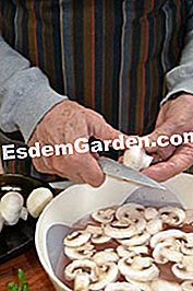 Norman palacsinta gratin - norman Gombakészítés