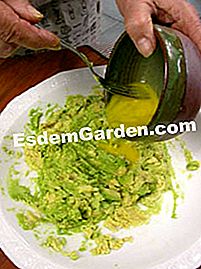 Gratin di avocado con formaggio pecorino - (minuti) Preparazione del ripieno