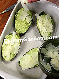 Gratin di avocado con formaggio pecorino - (gratin) Finalizzazione di avvocati