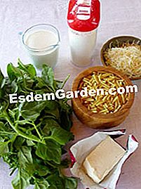 Macaroni gratin dengan tetragon - (tetragon) Bahan-bahan untuk gratin