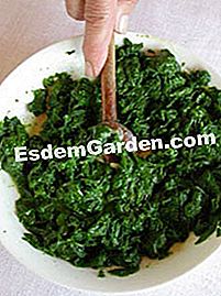 Macaroni gratin dengan tetragon - (minit) Sos sauce pada tetragon dan makaroni yang dimasak