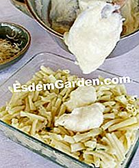 Macaroni gratin dengan tetragon - (macaroni) Keju parut