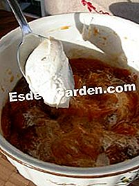 Gratinado de caqui Mascarpone - (azúcar vainilla) Mezcle con la crema fresca...