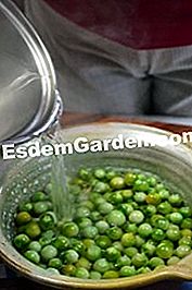 Grønne tomater i eddike - (tomaterne) Blanchere tomaterne