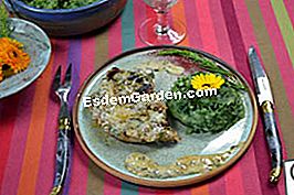 Kacang panggang dengan tarragon dan tetragon purée - (tetragon) bahan-bahan