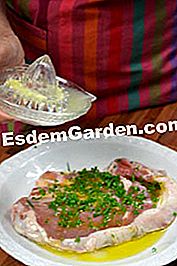 Grillet kalvekød med dragon og dens tetragonpuré - (dragon) ingredienser