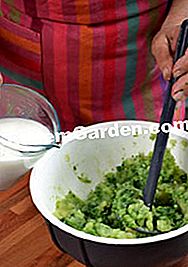 Grillet kalvekød med dragon og dens tetragonpuré - (dens) ingredienser