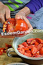 Ketchup af Eloise - (ketchup) Skære tomater