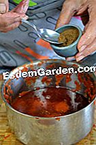 Ketchup af Eloise - (tomater) Slutningen af madlavningen