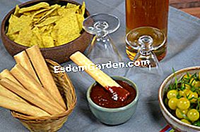 Ketchup af Eloise - (ketchup) Ketchup House of Eloise