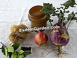 Kål med gryderet - (minutter) Kål og andre ingredienser