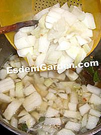 Mashed turnip au gratin - (gratin) Memasak sayur-sayuran