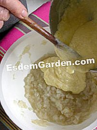 Mashed turnip au gratin - (mashed) Campurkan dengan sos bechamel