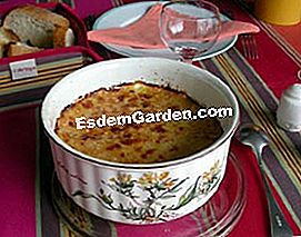 Mashed turnip au gratin - (gratin) Pinggan goreng kentang tumbuk