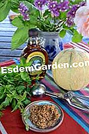 Melón en la barbacoa - (jarabe) Ingredientes para la receta