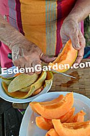 Melón en la barbacoa - (jarabe) Cortar rodajas de melón