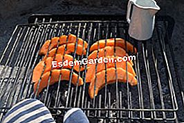 Melone sul barbecue - (barbecue) Cucinare il melone sul barbecue