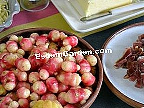 Oca dari Peru, ham negara, keju - (dari) bahan-bahan