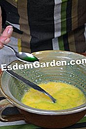 Angelica omelet - (omelet) Æg slået