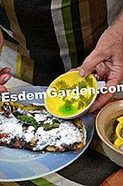 Angelica omelet - (kandiseret) Afslutning af påfyldningen