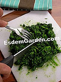 Crêpes fyldt med creme af cress - (creme) Skæring vandkress