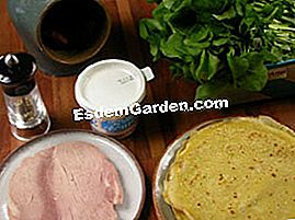 Crêpes rellenos de crema de berro - (rellenos) ingredientes