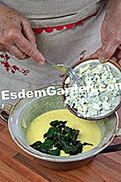 Empanadas con consuelda - (harina) Agregando azul y consuelda a la masa de panqueques
