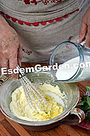 Empanadas con consuelda - (cocinar) preparación de la masa de panqueques
