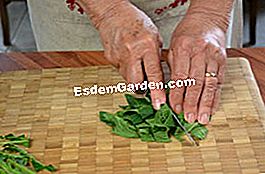 Empanadas con consuelda - (harina) Abogamos por la consuelda