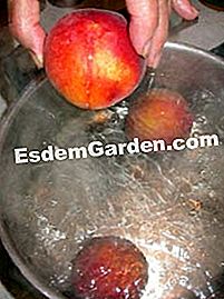 Ferskner med rosmarin sirup - (minutter) Ferskner med rosmarin sirup: ferskner