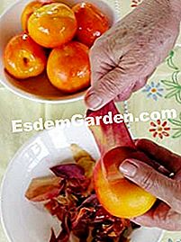 Ferskner med rosmarin sirup - (rosmarin) Ferskner med rosmarin sirup: sirup