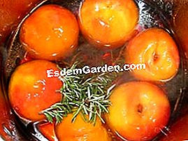 Ferskner med rosmarin sirup - (ferskner) Ferskner med rosmarin sirup: rosmarin