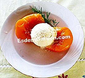 Ferskner med rosmarin sirup - (ferskner) Ferskner med rosmarin sirup: sirup