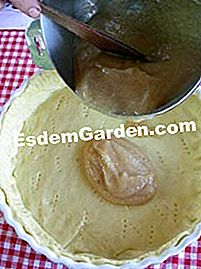 Pai epal rhubarb - (epal) tuang epal teh