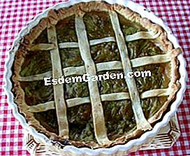 Pai epal rhubarb - (epal) Apple-rhubarb tart: a delight!