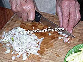 Lempeng kentang dan salad salad - (dengan) Potong bacon