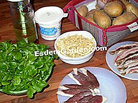 Lempeng kentang dan salad salad - (salad) bahan-bahan