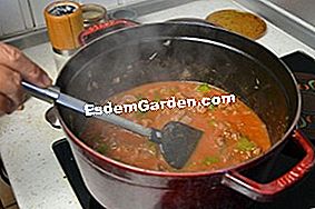 Frijol rojo mexicano - (rojo) Cocinar la salsa de carne