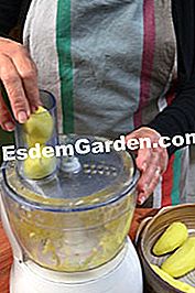 Brændt lam med grøn hvidløgssauce og kartoffelpandekager - (brændt) ingredienser