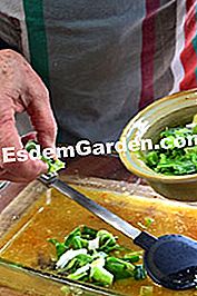 Domba panggang dengan sos bawang putih hijau dan penkek kentang - (dengan) bahan-bahan