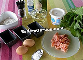 Panini di salmone e la loro crema di acetosella - (acetosa) Ingredienti per la brioche al salmone con crema di acetosella