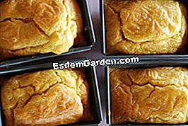 Panini di salmone e la loro crema di acetosella - (crema) Panini al salmone dal forno
