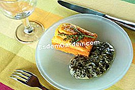 Panini di salmone e la loro crema di acetosella - (acetosella) Budino di salmone con crema di acetosa