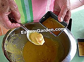 Bakul salmon dan krim kencang mereka - (bakul) Bahan-bahan untuk brioche salmon dengan krim kencang
